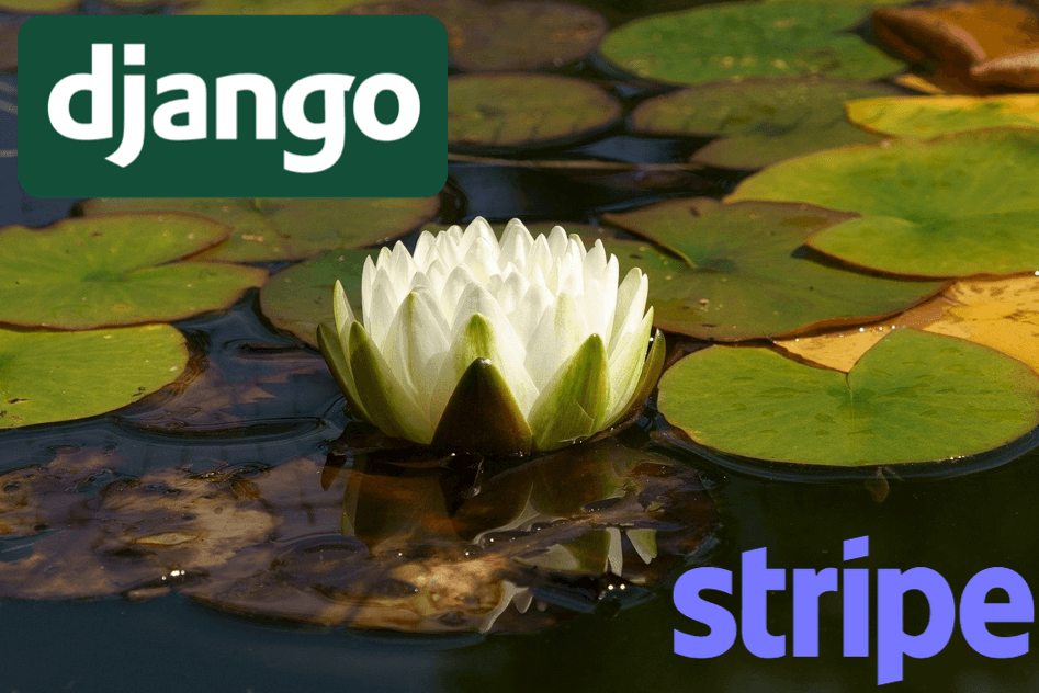 How to add Stripe payment processing to Django web app